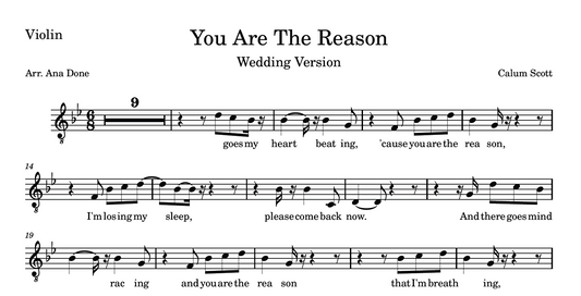 You Are The Reason (Violin Sheet Music)